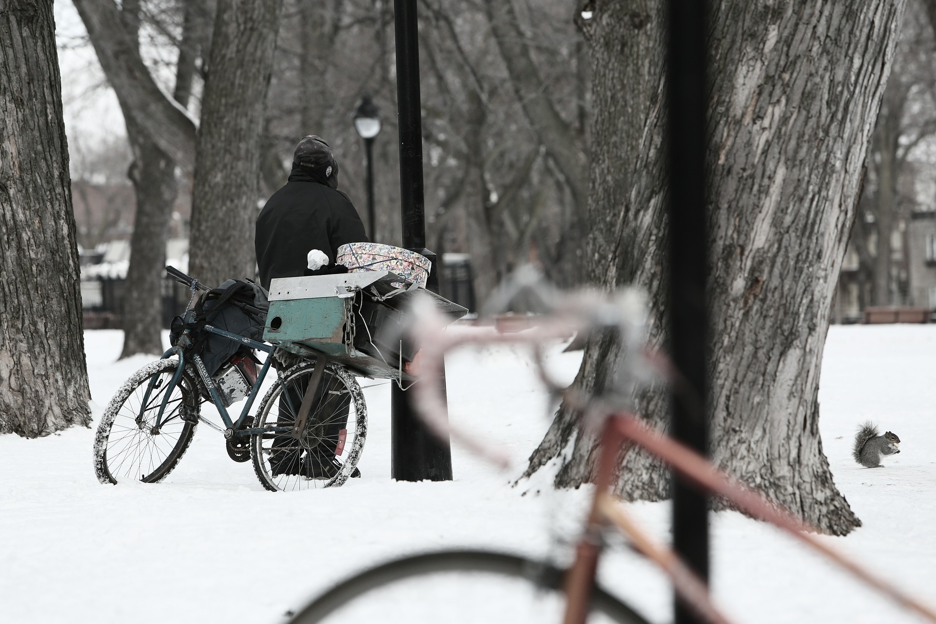 How Many Homeless People Are There In Ashland County?